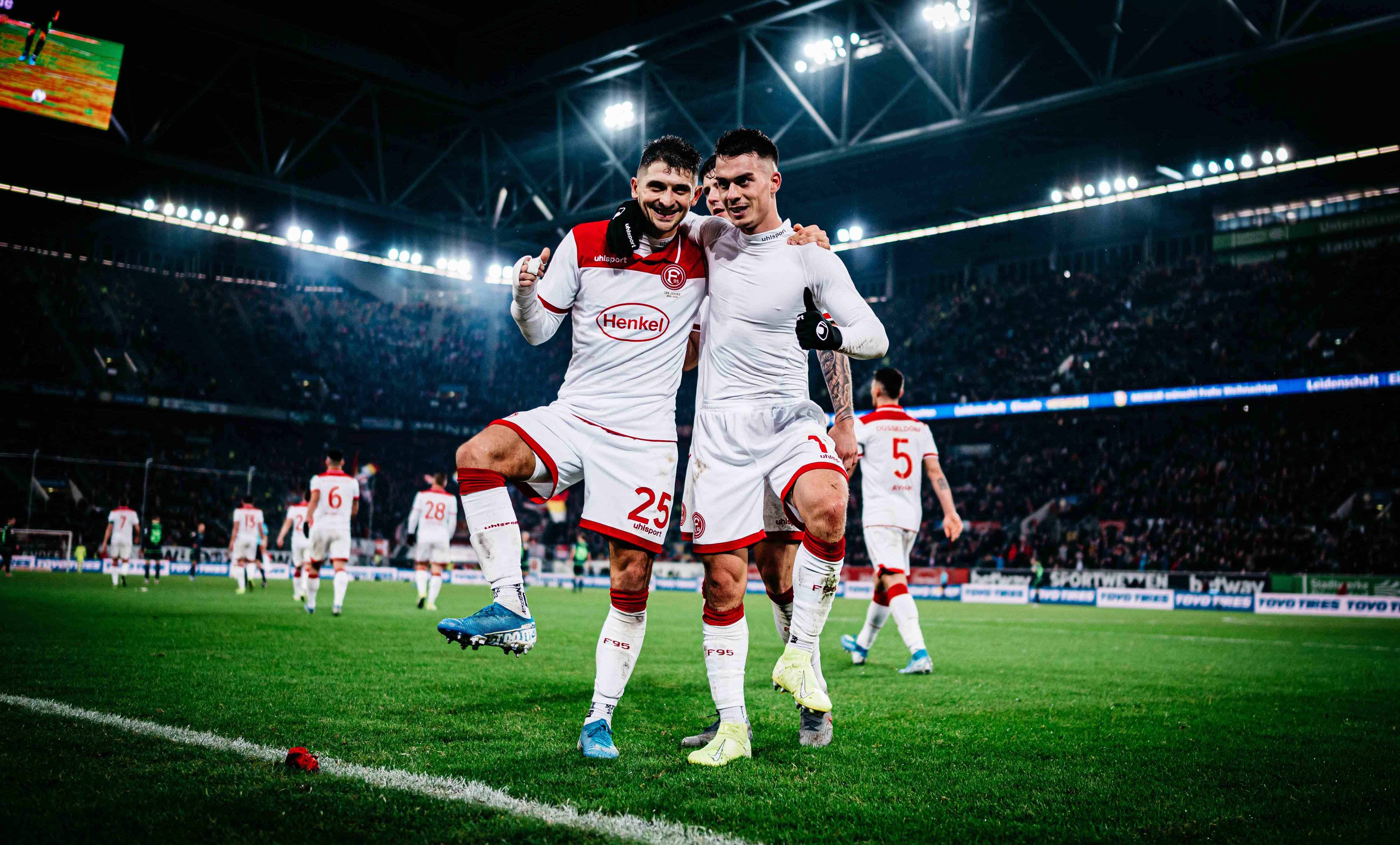 森林狼出现 森林狼出现